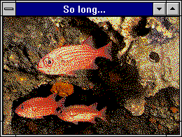 animated fish in a tank